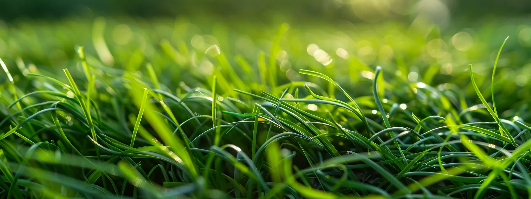 a close-up of synthetic turf fibers entangled with pet waste, emitting strong, lingering odors.